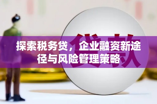 册亨探索税务贷，企业融资新途径与风险管理策略