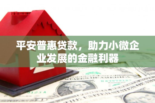 册亨平安普惠贷款，助力小微企业发展的金融利器