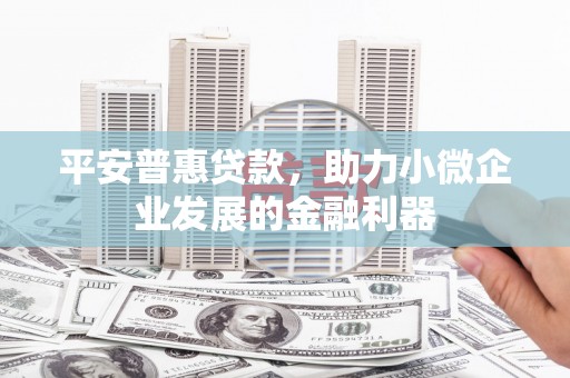 册亨平安普惠贷款，助力小微企业发展的金融利器