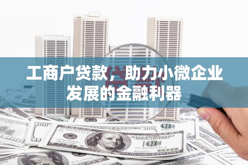 册亨工商户贷款，助力小微企业发展的金融利器