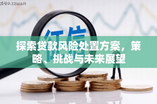册亨探索贷款风险处置方案，策略、挑战与未来展望