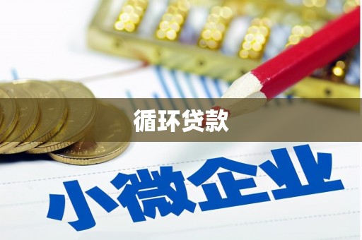 册亨循环贷款