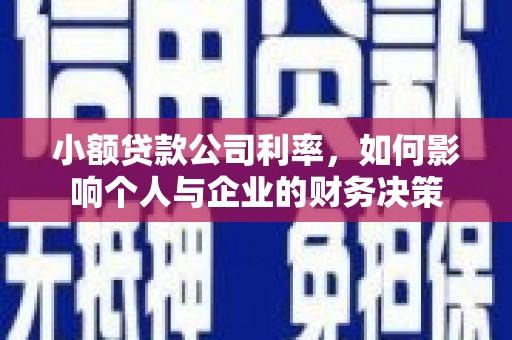册亨小额贷款公司利率，如何影响个人与企业的财务决策