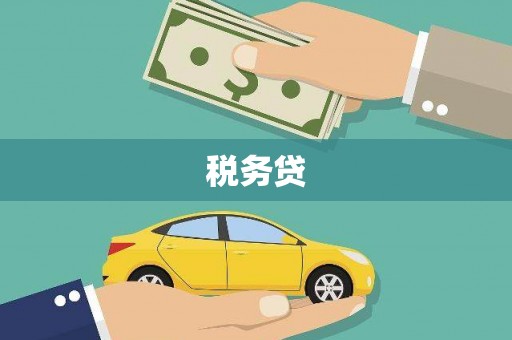 册亨税务贷