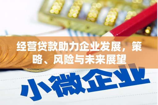 册亨经营贷款助力企业发展，策略、风险与未来展望