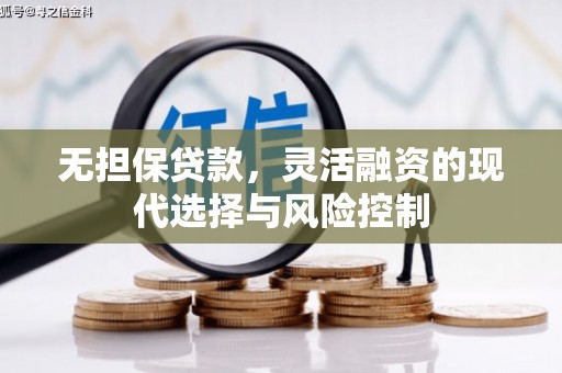 册亨无担保贷款，灵活融资的现代选择与风险控制