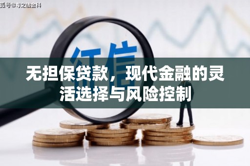 册亨无担保贷款，现代金融的灵活选择与风险控制