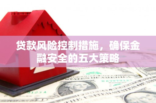 册亨贷款风险控制措施，确保金融安全的五大策略