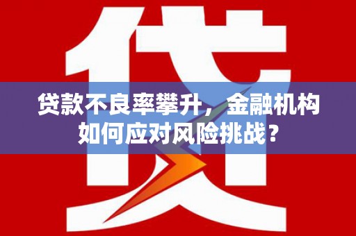 册亨贷款不良率攀升，金融机构如何应对风险挑战？