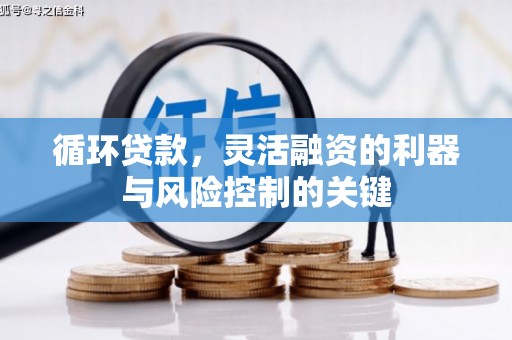 册亨循环贷款，灵活融资的利器与风险控制的关键