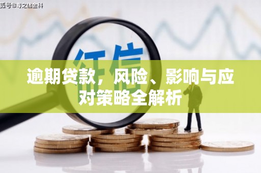册亨逾期贷款，风险、影响与应对策略全解析