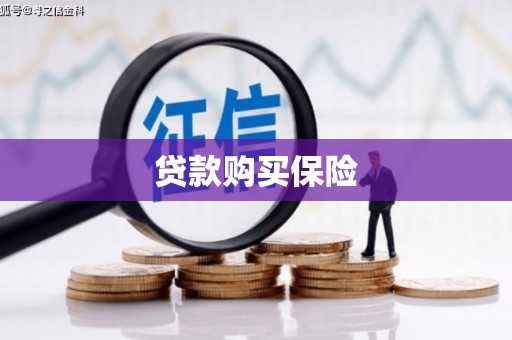 册亨贷款购买保险