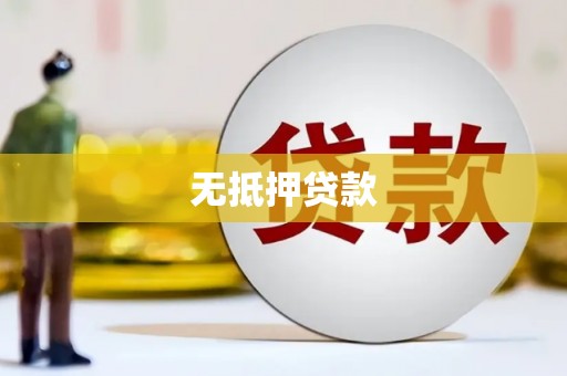 册亨无抵押贷款