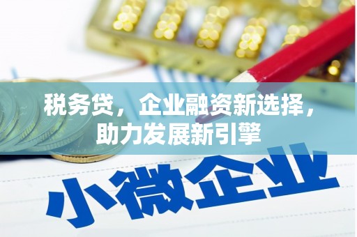 册亨税务贷，企业融资新选择，助力发展新引擎