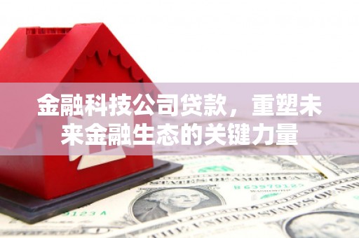 册亨金融科技公司贷款，重塑未来金融生态的关键力量