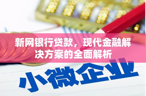册亨新网银行贷款，现代金融解决方案的全面解析