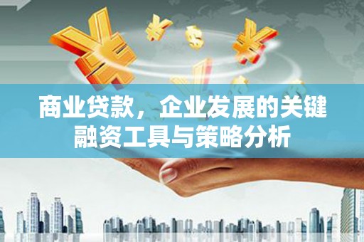 册亨商业贷款，企业发展的关键融资工具与策略分析