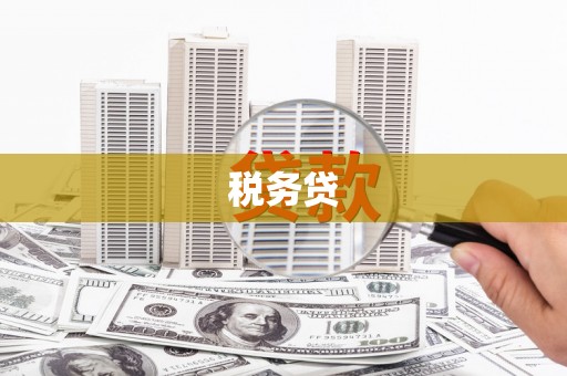 册亨税务贷