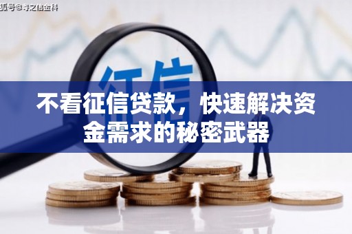 册亨不看征信贷款，快速解决资金需求的秘密武器