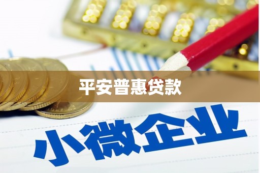 册亨平安普惠贷款