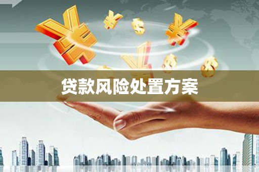 册亨贷款风险处置方案