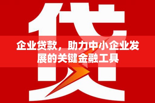 册亨企业贷款，助力中小企业发展的关键金融工具
