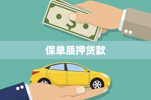 册亨保单质押贷款
