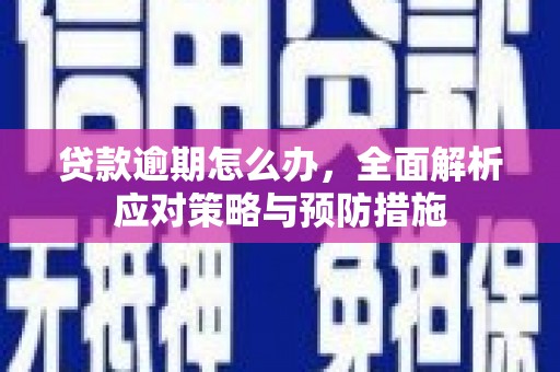 册亨贷款逾期怎么办，全面解析应对策略与预防措施