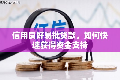 册亨信用良好易批贷款，如何快速获得资金支持
