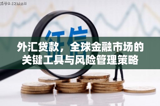 册亨外汇贷款，全球金融市场的关键工具与风险管理策略