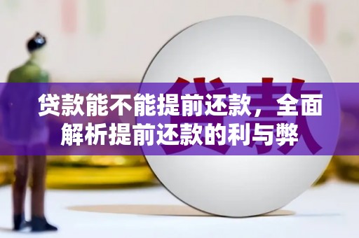 册亨贷款能不能提前还款，全面解析提前还款的利与弊