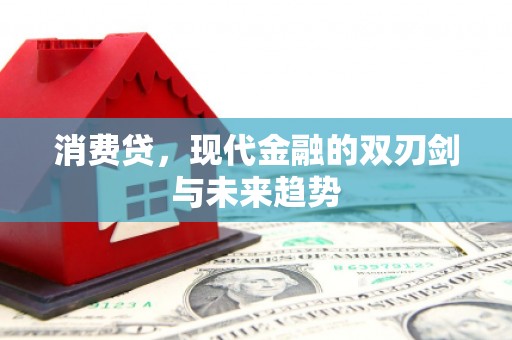 册亨消费贷，现代金融的双刃剑与未来趋势