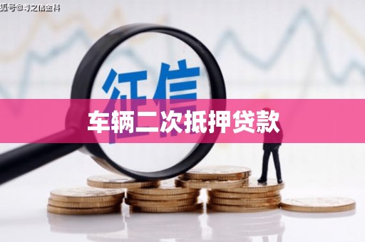 册亨车辆二次抵押贷款