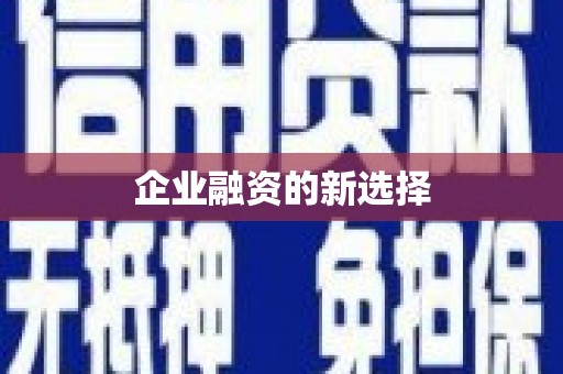 册亨企业融资的新选择