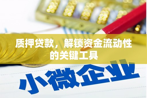 册亨质押贷款，解锁资金流动性的关键工具