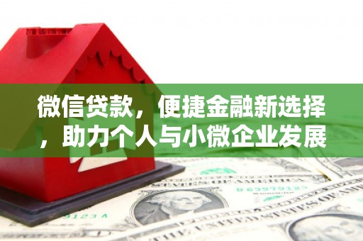 册亨微信贷款，便捷金融新选择，助力个人与小微企业发展