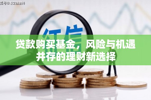册亨贷款购买基金，风险与机遇并存的理财新选择
