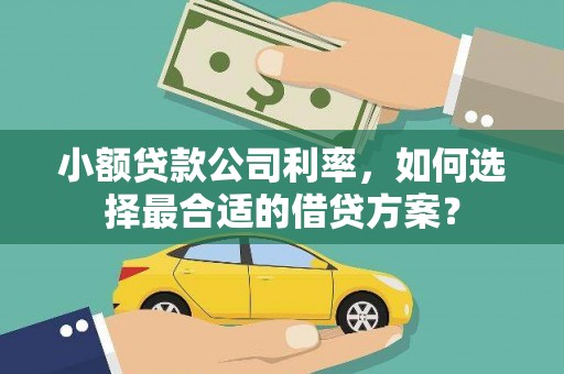 册亨小额贷款公司利率，如何选择最合适的借贷方案？