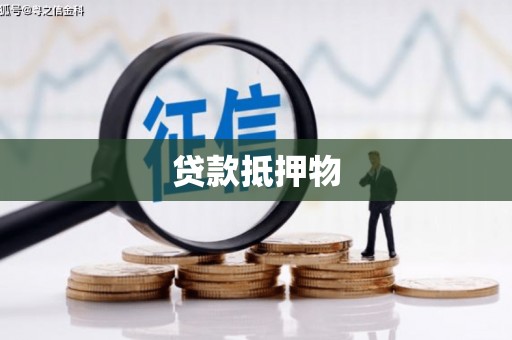 册亨贷款抵押物