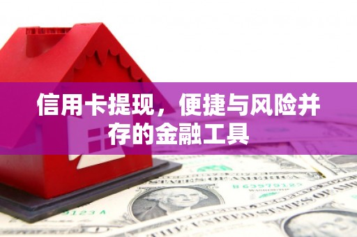 册亨信用卡提现，便捷与风险并存的金融工具