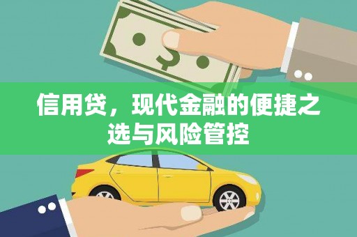 册亨信用贷，现代金融的便捷之选与风险管控
