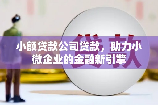 册亨小额贷款公司贷款，助力小微企业的金融新引擎