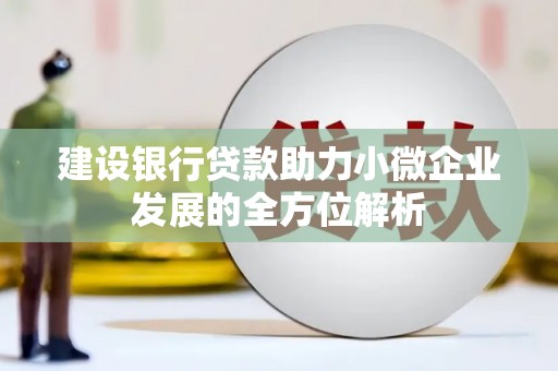 册亨建设银行贷款助力小微企业发展的全方位解析
