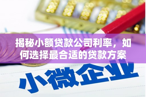 册亨揭秘小额贷款公司利率，如何选择最合适的贷款方案