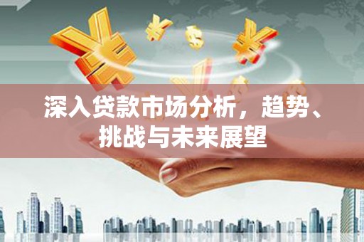 册亨深入贷款市场分析，趋势、挑战与未来展望