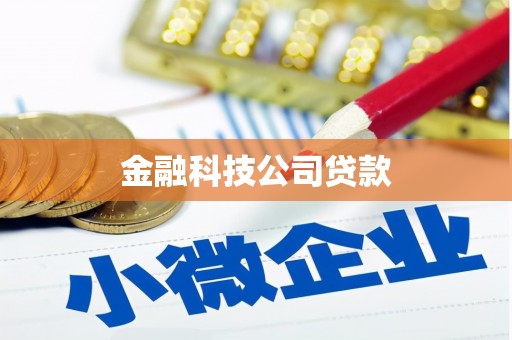 册亨金融科技公司贷款