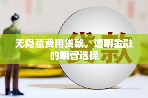 册亨无隐藏费用贷款，透明金融的明智选择