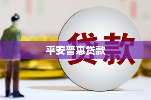 册亨平安普惠贷款