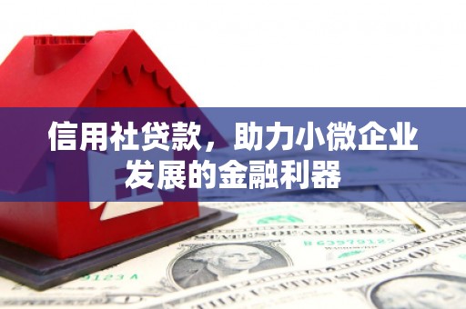 册亨信用社贷款，助力小微企业发展的金融利器