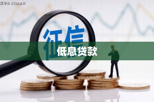 册亨低息贷款